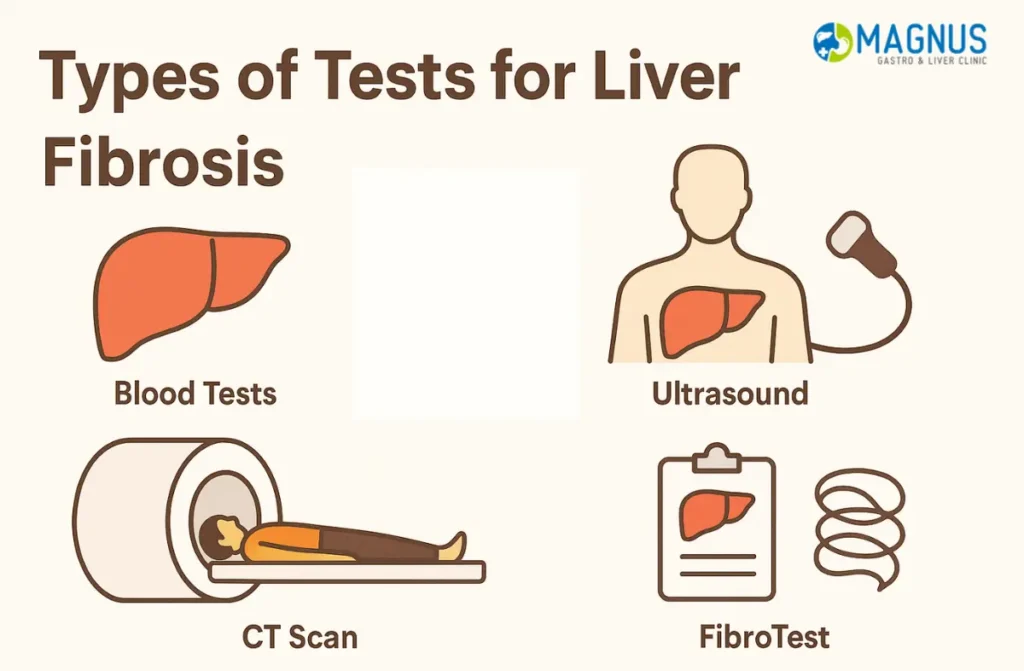 Liver Fibrosis Treatment