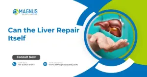 Can the Liver Repair Itself