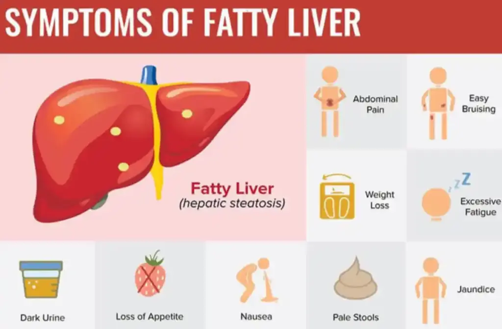 fatty liver disease