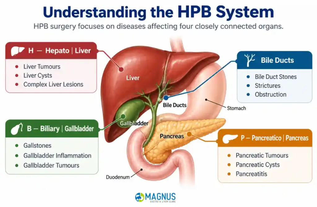Hepato Pancreatico Biliary Surgeon in Chennai