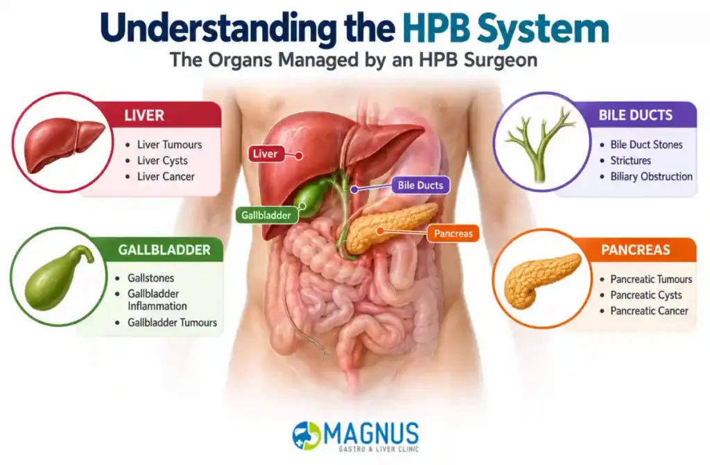 Liver Transplant Surgeon in Tamil Nadu